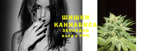 скорость Каменка