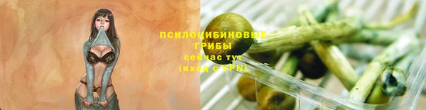 каннабис Каменногорск