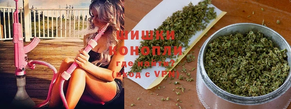 скорость Каменка