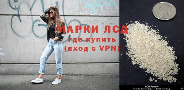 скорость Каменка